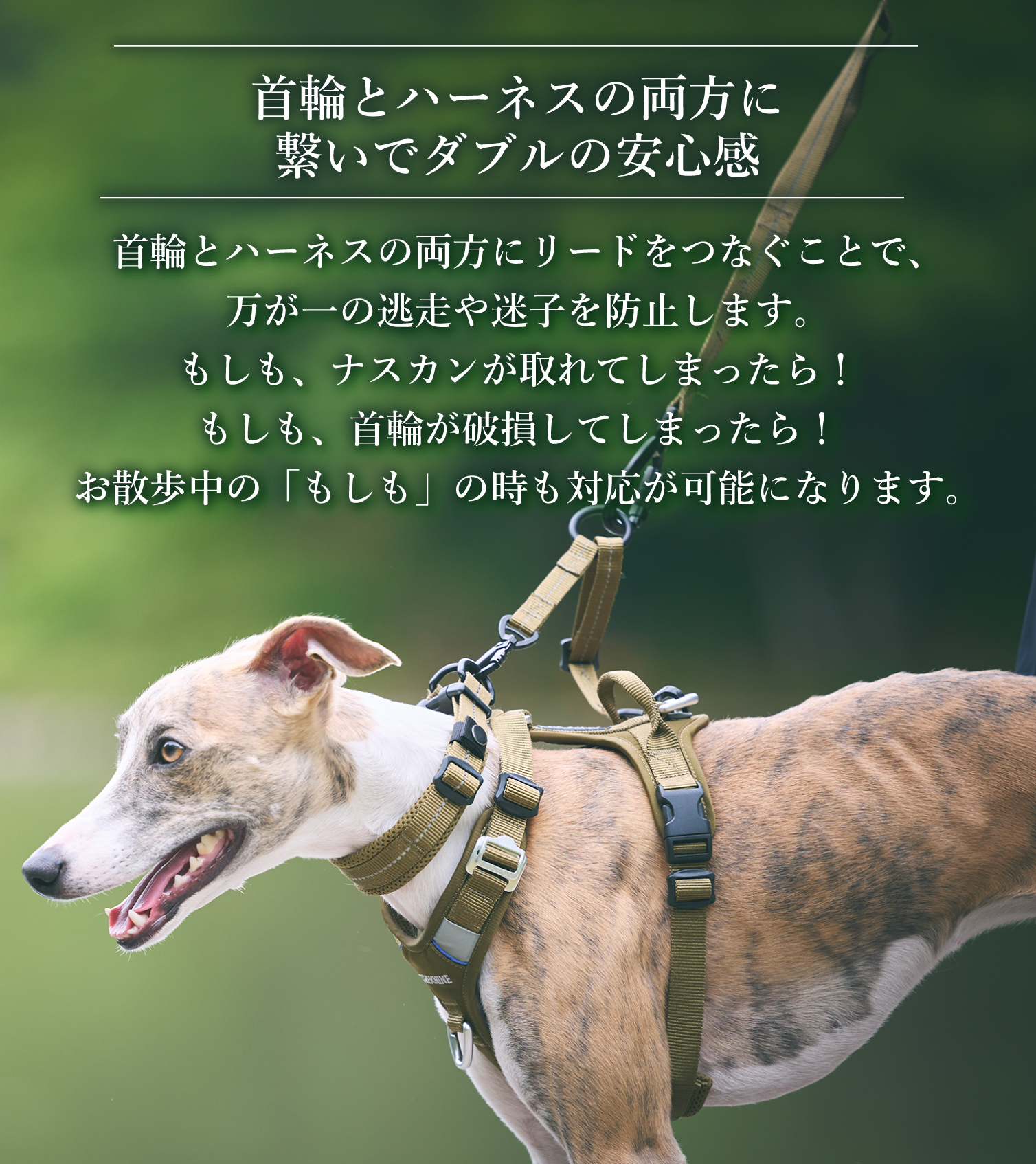 犬 リード お散歩グッズ】 iDog TREKNINE ダブルリードパーツ トレック