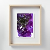 在庫限り】 山口一郎 「HANA-head-gold」｜これまでに販売した商品