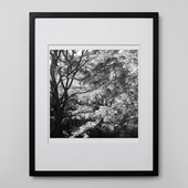 定番品】ル・ブアン・ベニ 「BEN558」ブラックフレーム｜ポスター