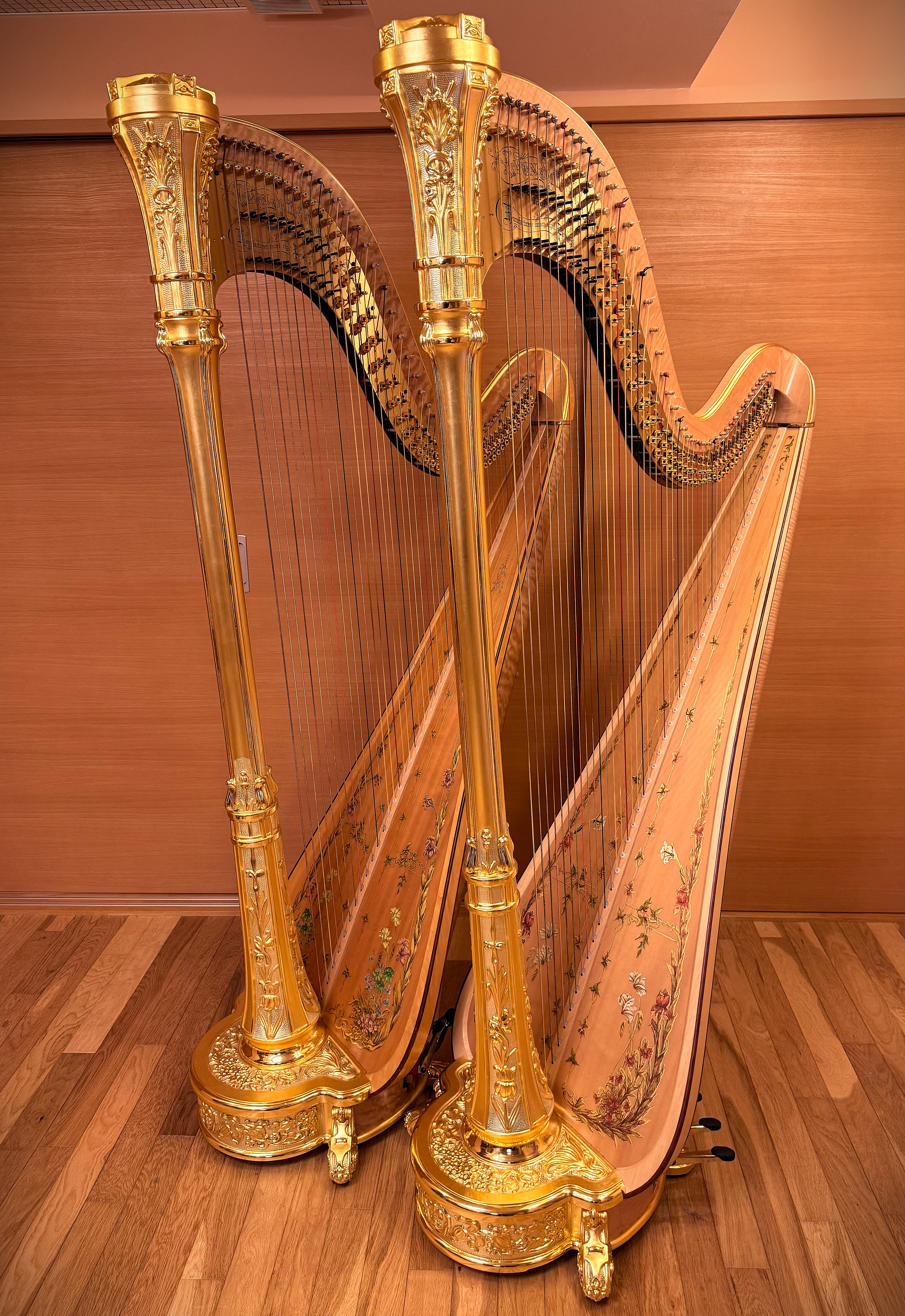 使っているハープ