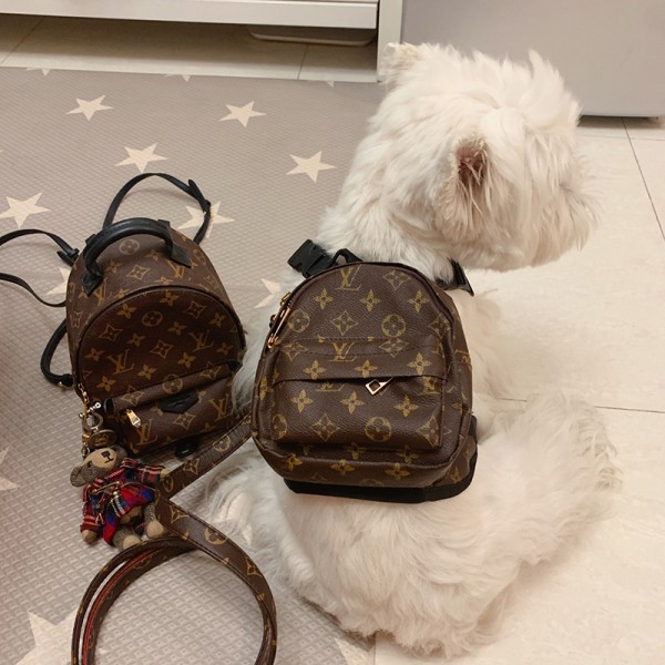 Louis Vuitton ルイ・ヴィトン 大型犬用首輪 モノグラム