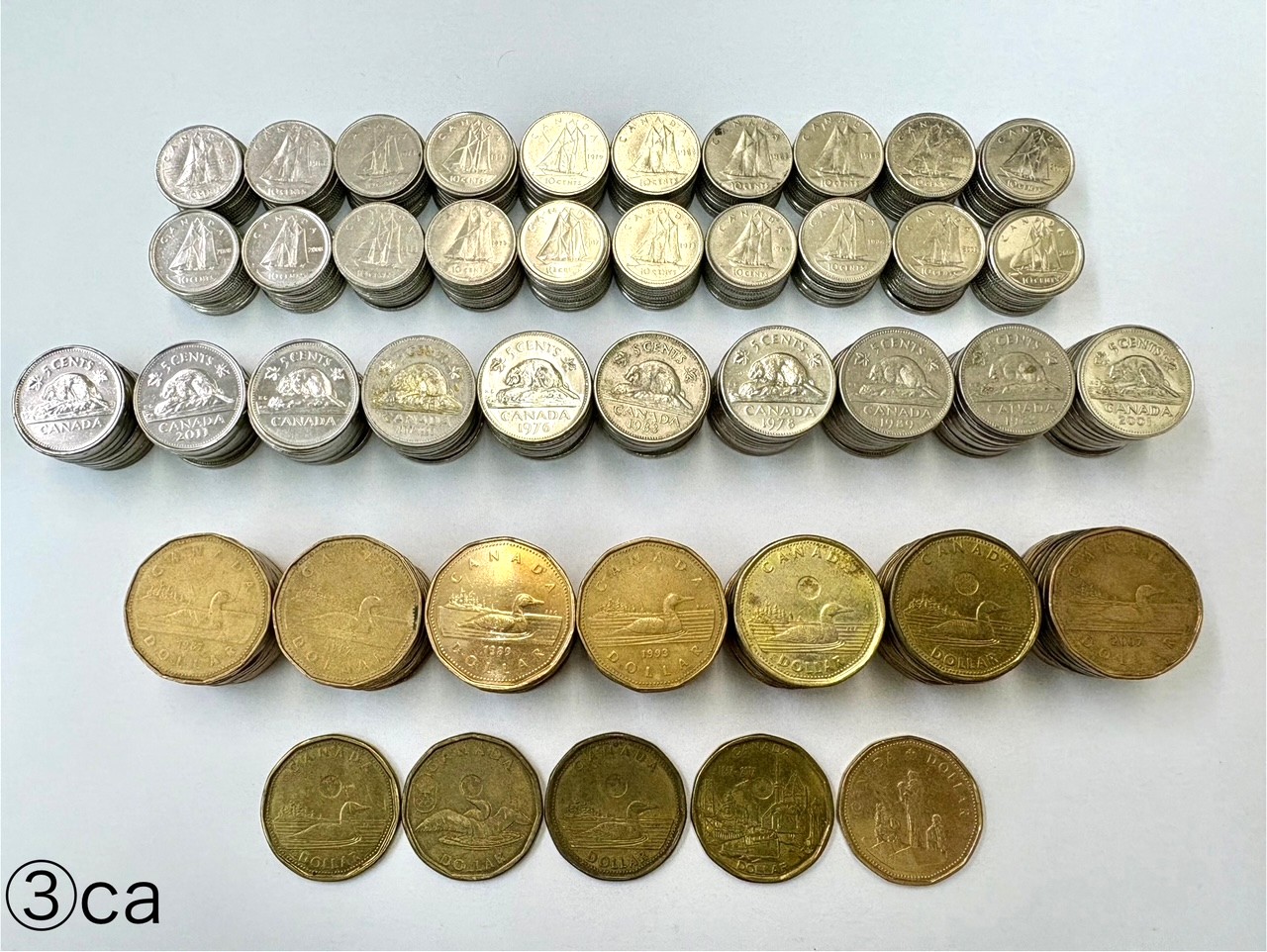 a091 カナダ 1ドル 硬貨 100枚 まとめて a091 カナダ 1ドル 硬貨 100枚