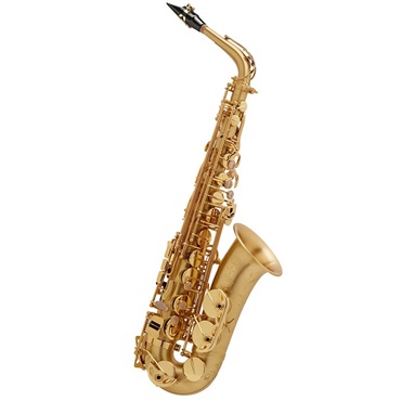 アルトサックス セルマーゴールド 本体と付属品 Selmer Paris アルト