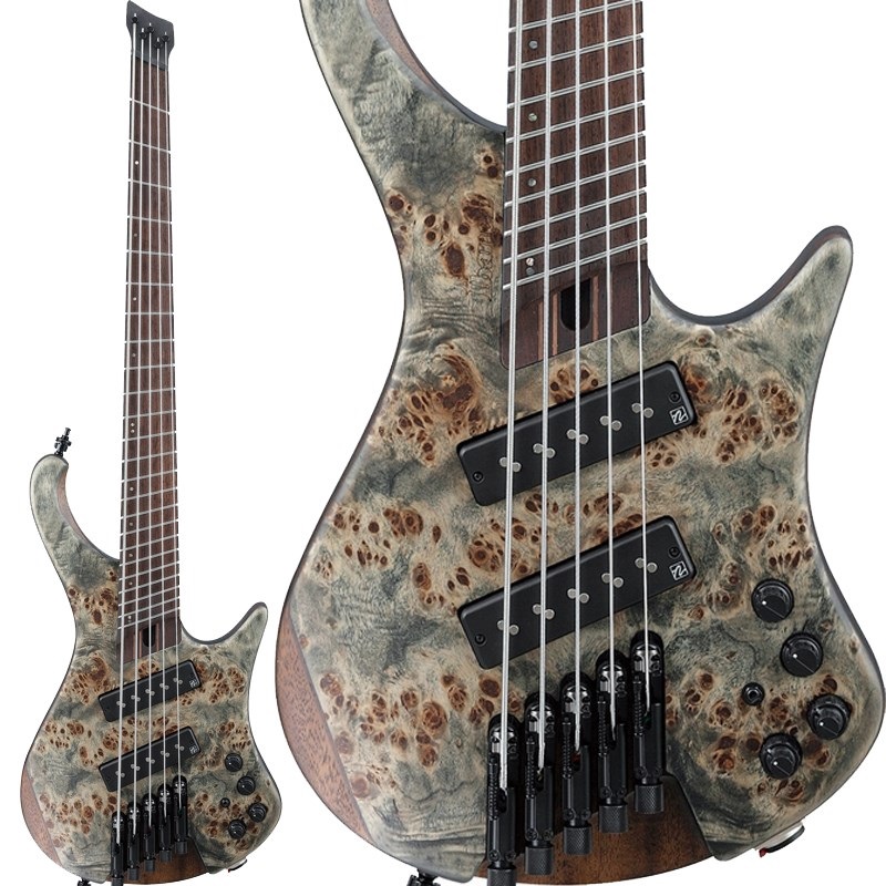 Ibanez Bass Workshop EHB1505MS-BIF [SPOT MODEL] ｜イケベ楽器店