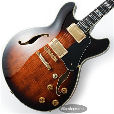 Ibanez JSM10-VYS [John Scofield Model] ｜イケベ楽器店オンラインストア