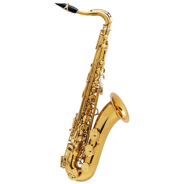 Selmer Paris 【限定モデル】アルトサックス セルマー Supreme