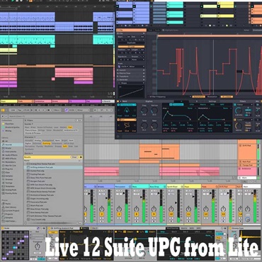 ableton Live 12 Suite EDU アカデミック版 (代引不可)(オンライン納品