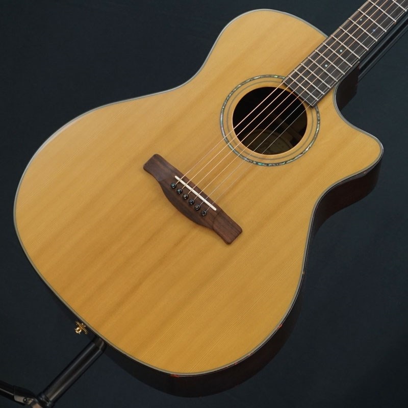 YUI愛用モデル！Fender エレアコGA45SCE NTライブもアコギもOK YUI愛用
