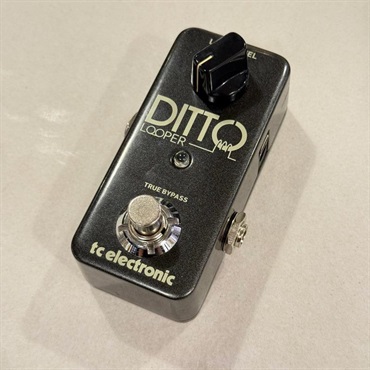 tc electronic DITTO+ ※国内正規品（ティーシーエレクトロニック
