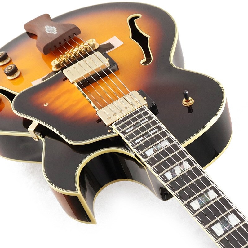 Ibanez Artcore Expressionist AF95-BS ｜イケベ楽器店オンラインストア