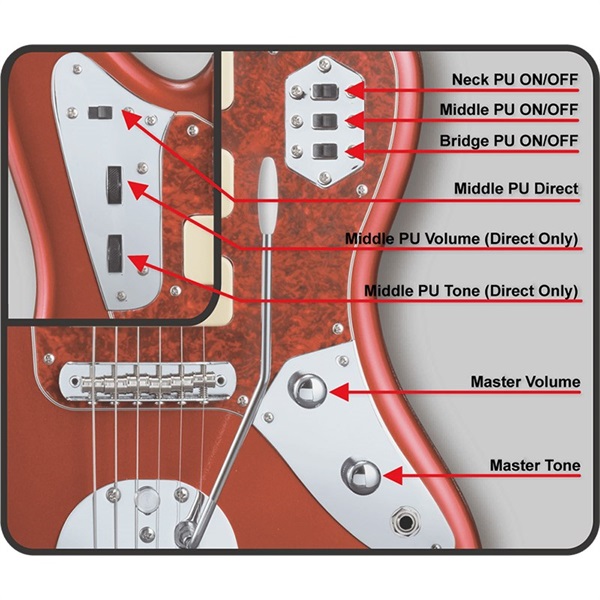 良・美品】SKINペイント・SUGIZOモデル。ソフトケース&アーム付属。 良
