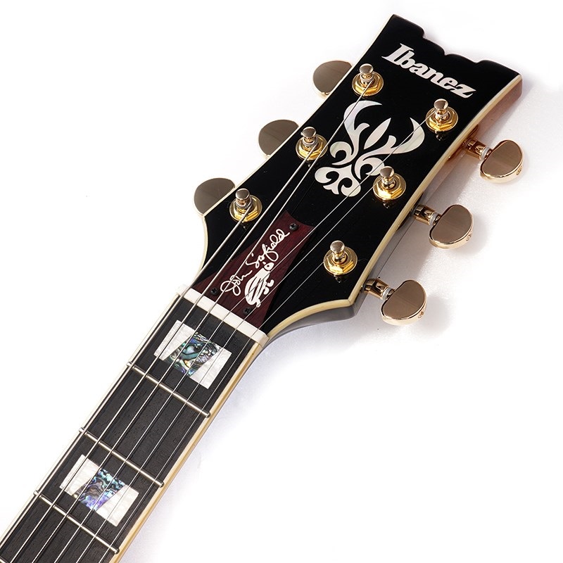 Ibanez JSM10-VYS [John Scofield Model] ｜イケベ楽器店オンラインストア