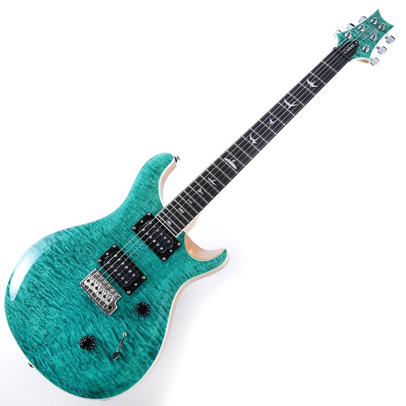 と*ぐ様 PRS SE Custom グリーン エレキギター と*ぐ様 PRS SE