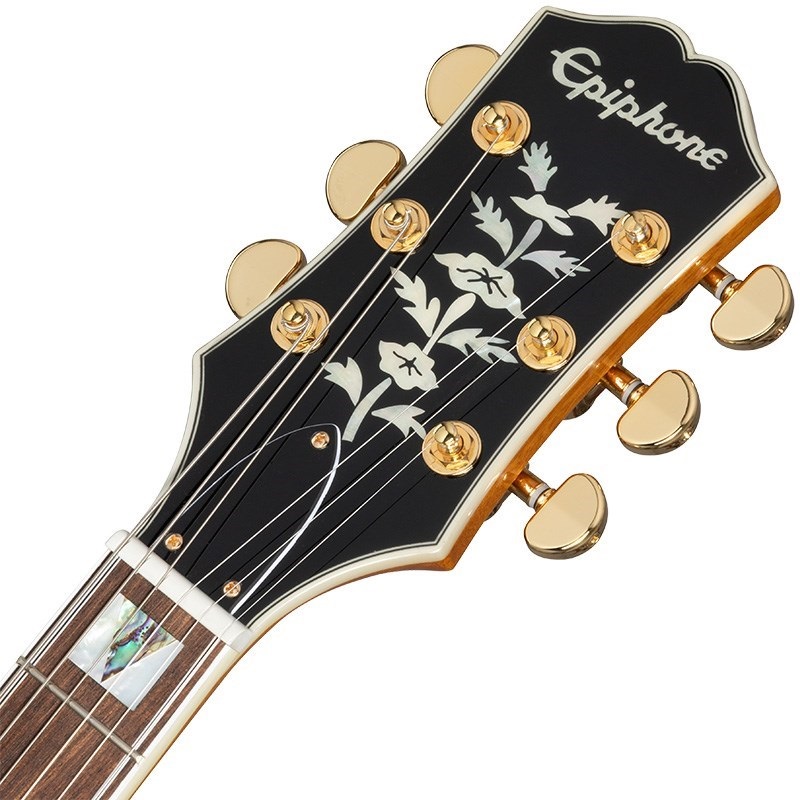 Epiphone Sheraton (Natural)[特価] ｜イケベ楽器店オンラインストア