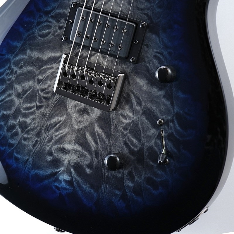 P.R.S. SE Mark Holcomb (Holcomb Blue Burst) ｜イケベ楽器店