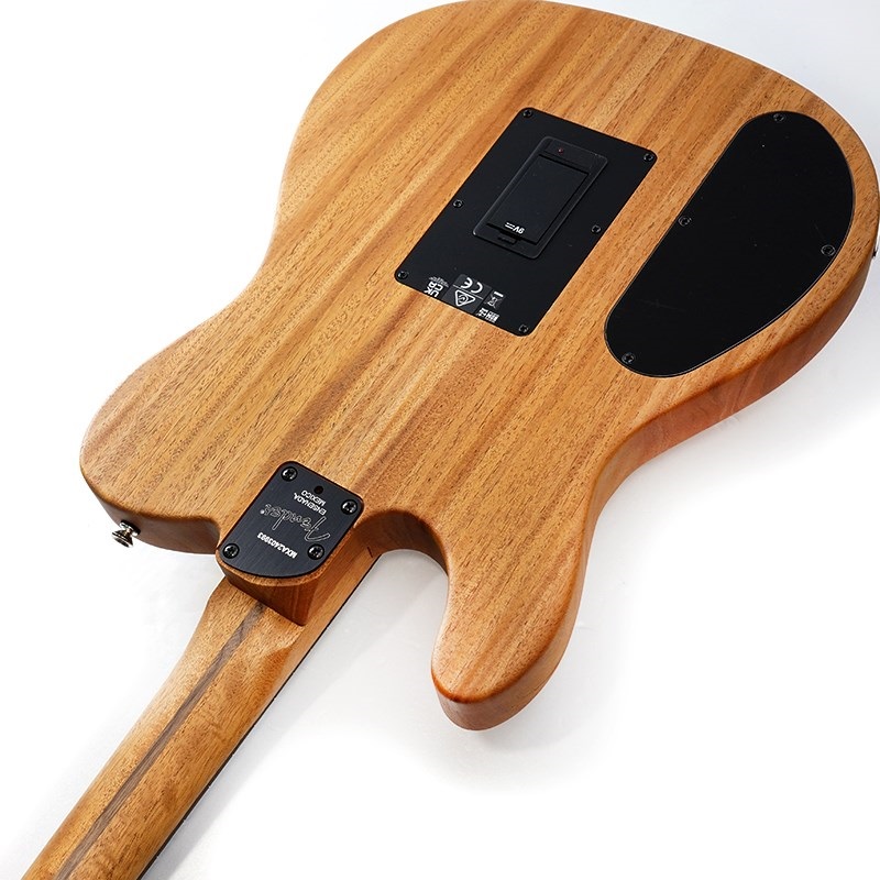 Fender Acoustics FINNEAS Acoustasonic Player Telecaster