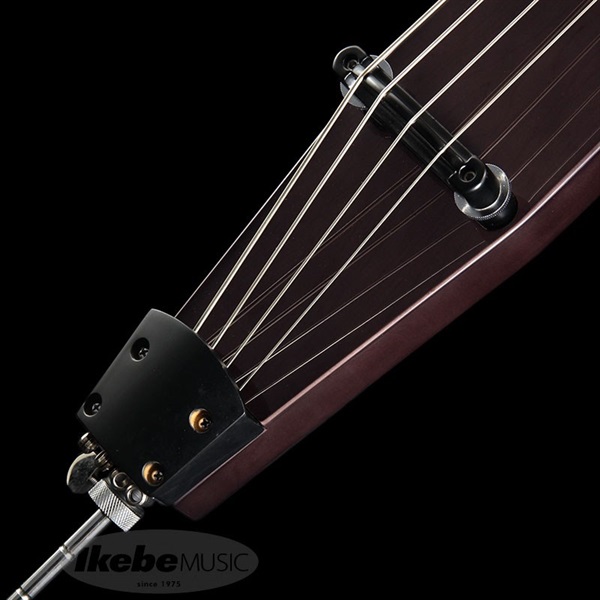 Hallstatt WBSE-1000 (TBK) [アップライトベース] ｜イケベ楽器店