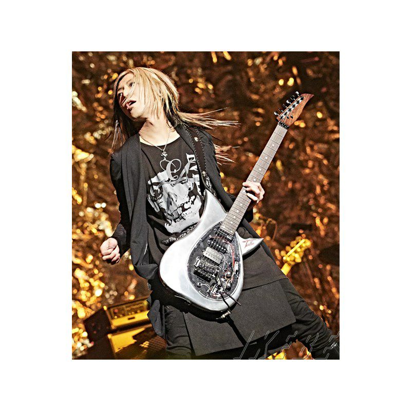 TOKAI Talbo 東海楽器タルボ アルミギター glay hisashi TOKAI Talbo