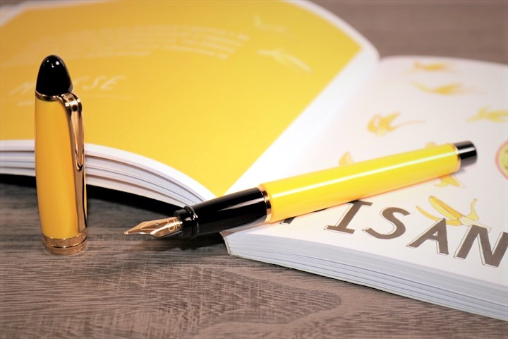 アウロラ イプシロン イエロー 万年筆 Aurora Ipsilon Yellow Fountain pen