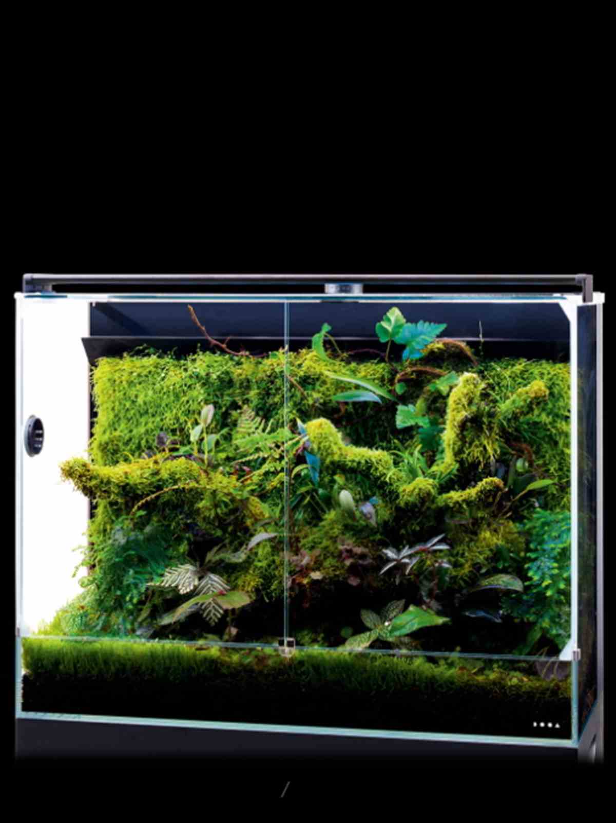 パルダリウム・テラリウム水槽600×300×360 パルダリウム・テラリウム