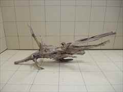 ADA ホーンウッド 2本セット 特大 送料無料 ADA ホーンウッドの販売