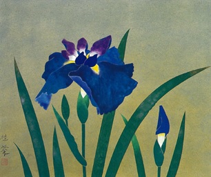 岩波美術店 :: 金島桂華