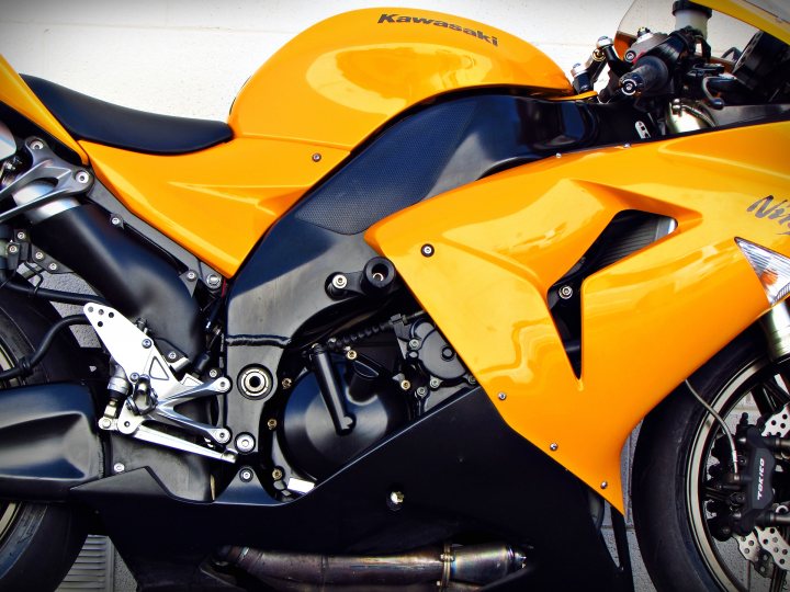 ホレマニー オレンジ ① エキノドルス ホレマニーオレンジ - グラスゲート