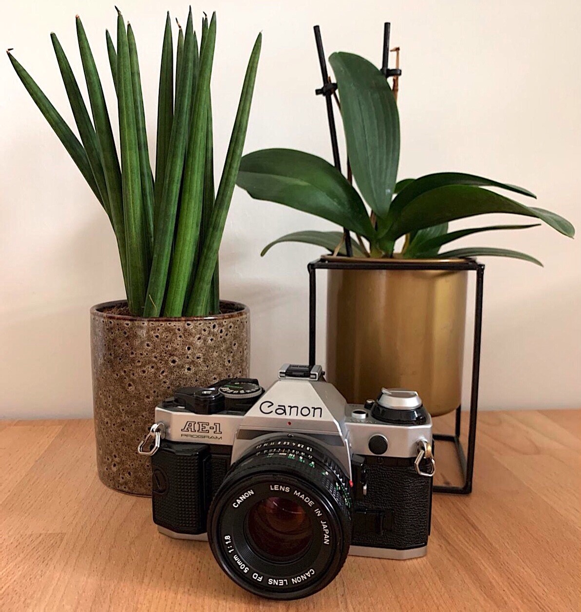 The Canon AE-1 Program - Lukas Fila | JO GEIER