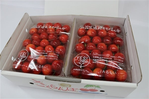 さっちんさんさま専用 takachanさま 専用 車好きさん専用 Shigeyachan