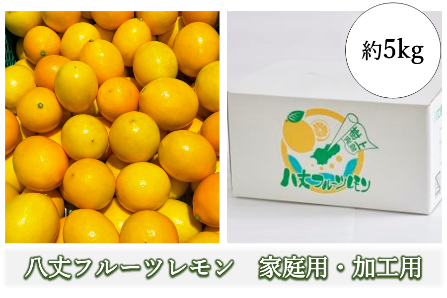 八丈フルーツレモンご家庭用（加工用） 約5kg: JA全農東京|【JA