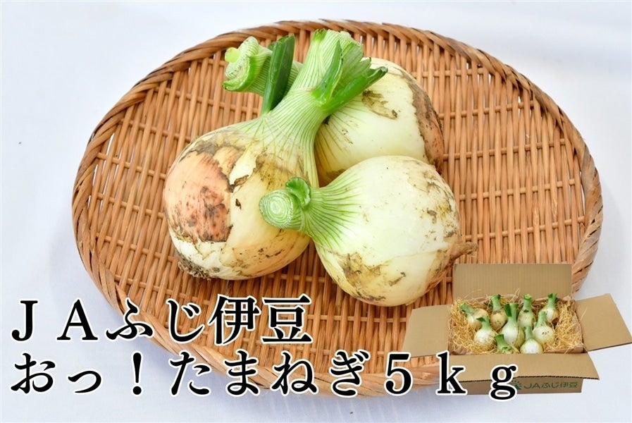おっ！たまねぎ（新玉葱） 5㎏JAふじ伊豆: しずおか『手しお屋