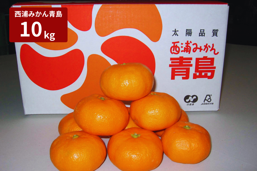 西浦みかん青島 10kg箱 自宅用 JAふじ伊豆: しずおか『手しお屋