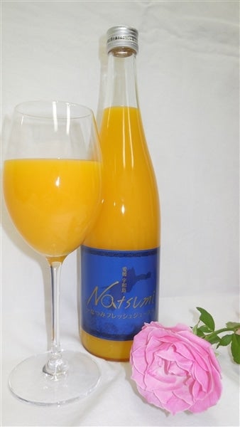 愛媛県産なつみジュース 720ml 12本セット 愛媛県産なつみジュース