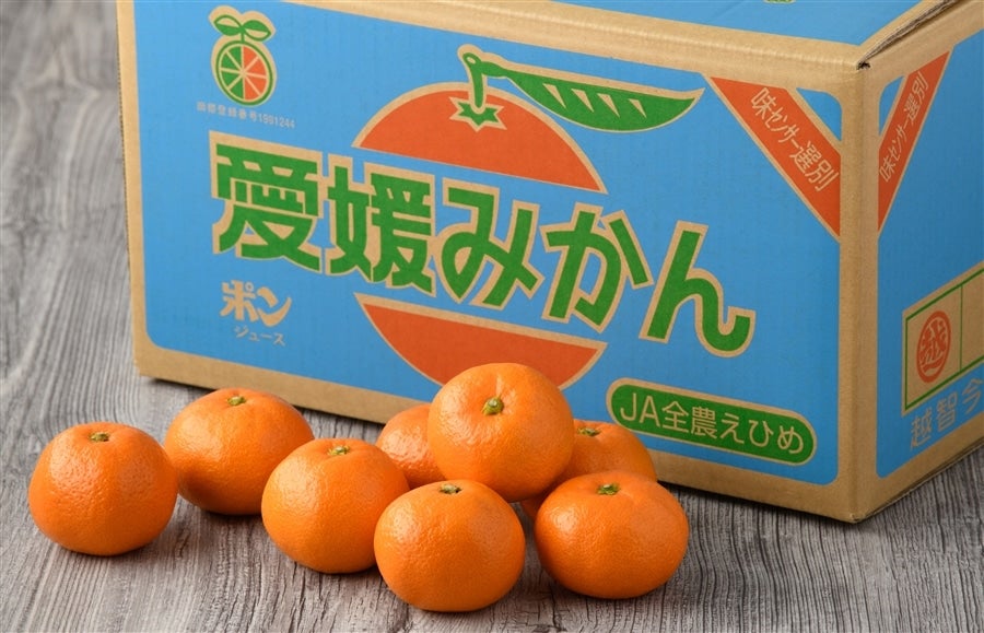 おみかんさん確認用 おみかんさん確認用 みかん様 みかん10個 みかん様