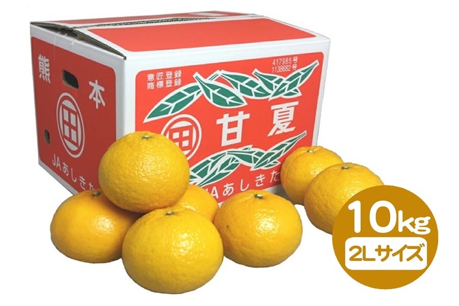 3月お届け】甘夏 10kg（2L玉／25玉前後）: JAあしきた|【JAタウン