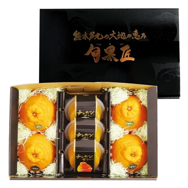 下*田様 【最終在庫】 美品 東シナ海産 蓋付き ガンセキバショウ 6点