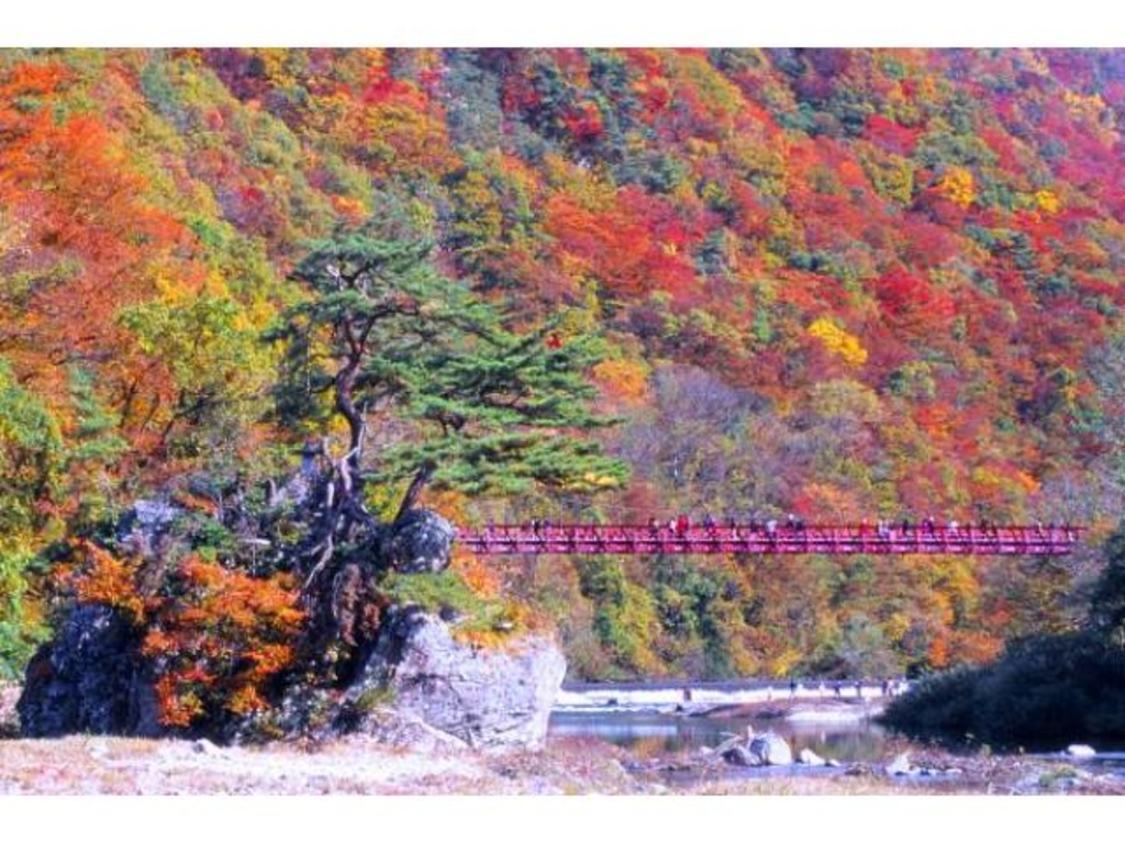 掛け軸 荒木寛畝 墨絵 三井寺 紙本 希少 軸装 茶道具 掛軸 美品 です