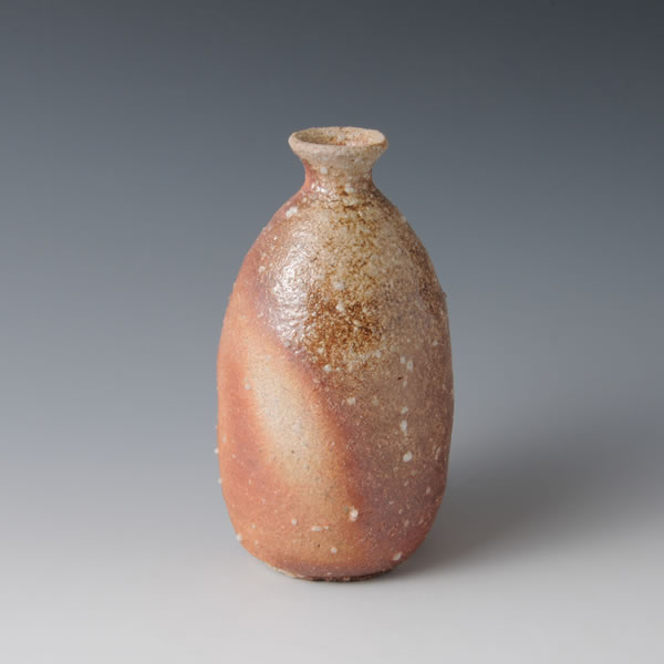 Japan Pottery Net / 信楽徳利 C