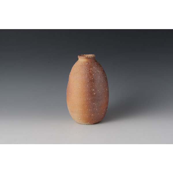 Japan Pottery Net / 信楽花瓶 D