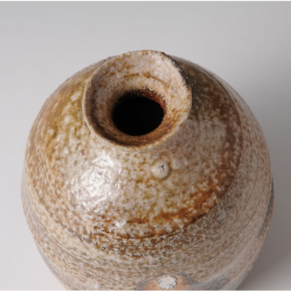 Japan Pottery Net / 信楽徳利 B