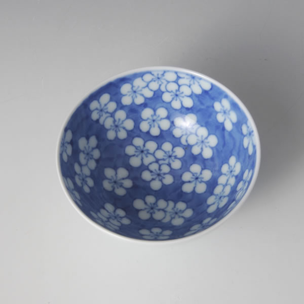 中国鉢青花染付梅図碗清朝期梅染付吹き付け吹墨丼