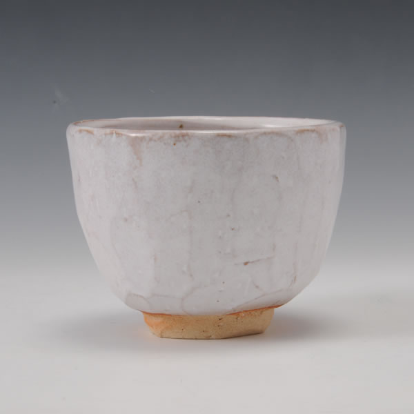 Japan Pottery Net / 萩白釉窯変茶碗