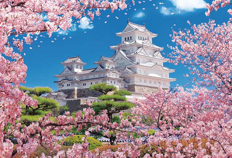 桜香る姫路城 ジグソーパズル2016 JPN castle Himeji-jo 桜香る姫路城