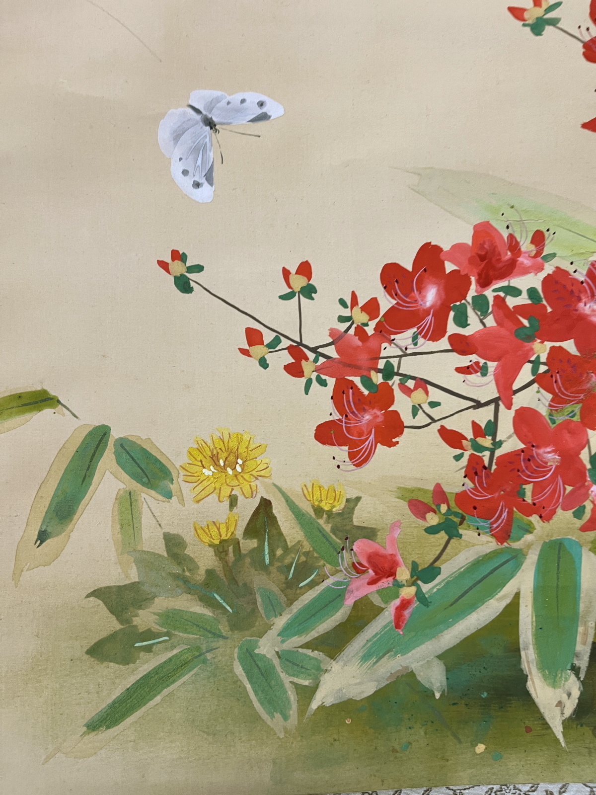 真作】掛軸 花鳥図 牡丹と梅・桔梗 美麗彩色画 華やかな彩色美 R178 真