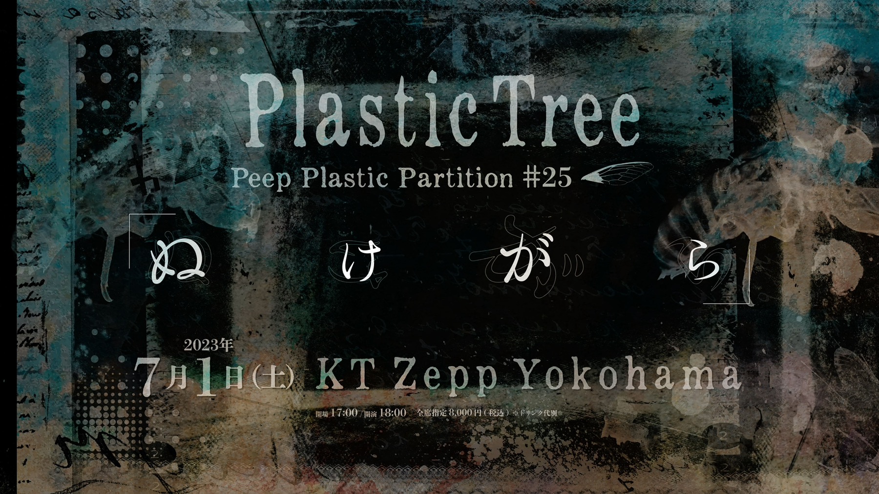 Plastic Tree Peep Plastic Partition+ポスター Plastic Tree Peep