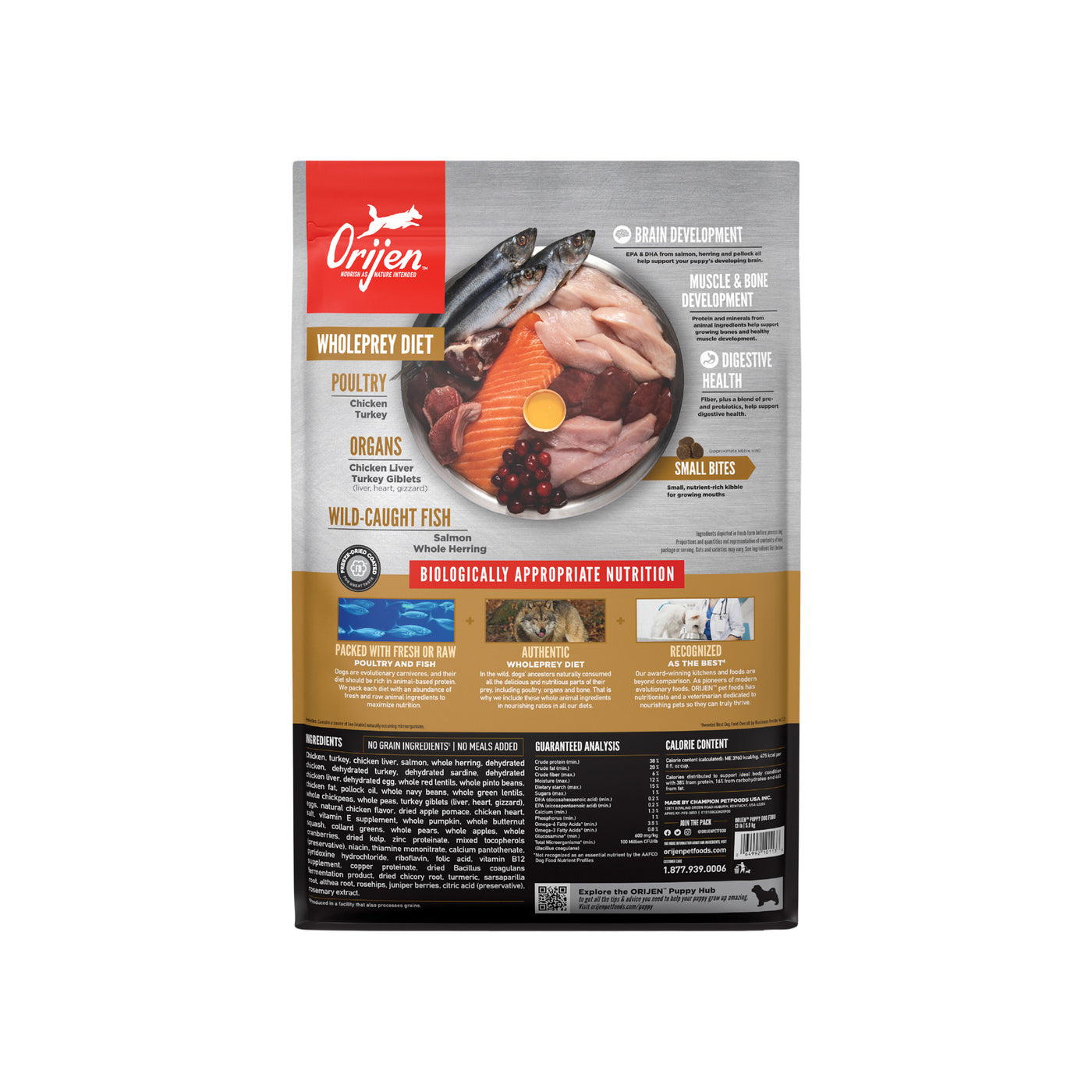 Orijen Grain-Free Puppy Dry Dog Food | Only Natural Pet