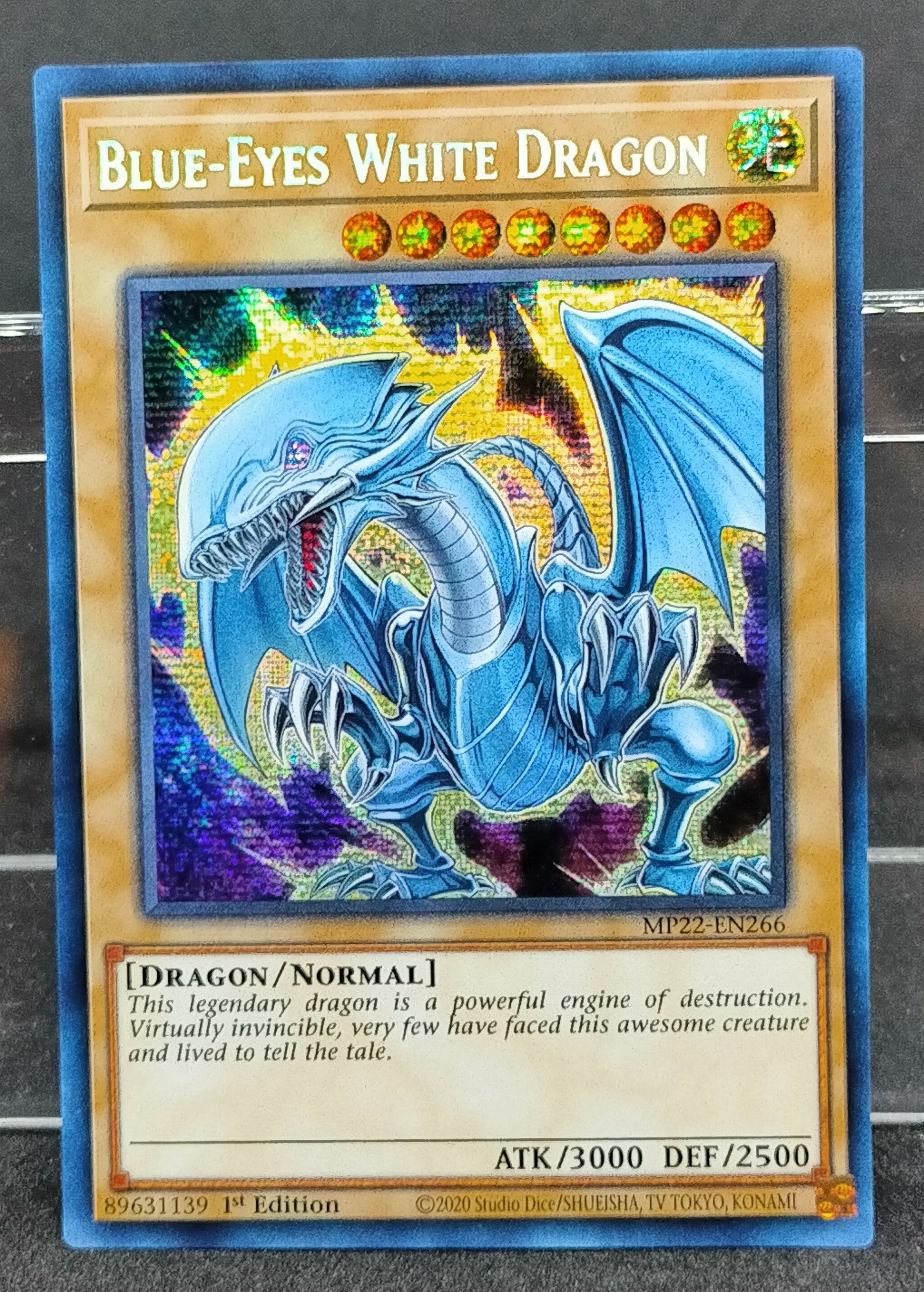 遊戯王 青眼の白龍 英語版 ウルトラ 1st DUSA 3枚 遊戯王 青眼の白龍