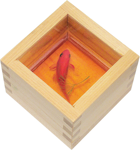 最終値下げ 深堀隆介 金魚酒 一合枡 直筆サイン 共箱 現代アート 真作