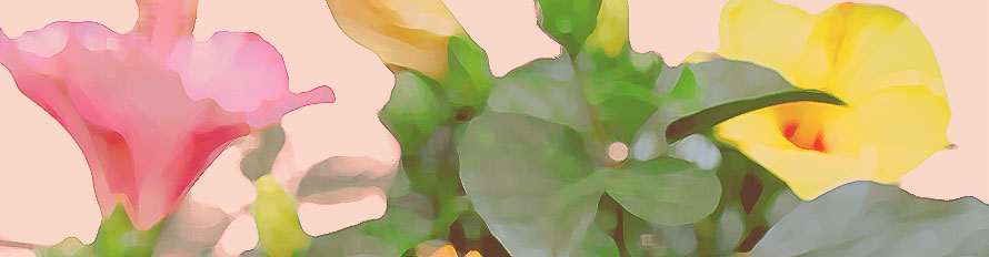 未使用品】東山魁夷(Kaii) 宵桜 リトグラフ 【限定500部内52番】 東山