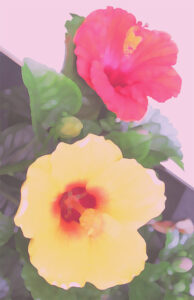 棟方志功 福福魚 | 絵画など美術品の販売と買取 | 東京・銀座 おいだ美術